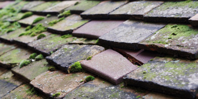 Easington roof repair costs